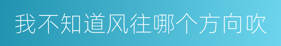 我不知道风往哪个方向吹的同义词