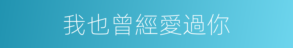 我也曾經愛過你的同義詞
