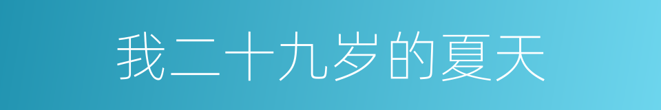 我二十九岁的夏天的同义词