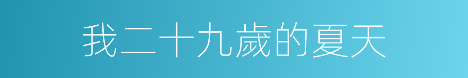 我二十九歲的夏天的同義詞