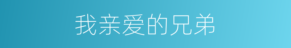 我亲爱的兄弟的同义词