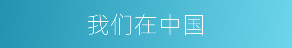 我们在中国的同义词