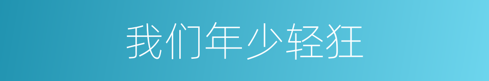我们年少轻狂的同义词
