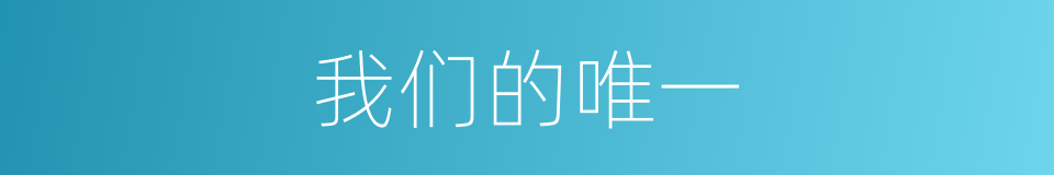 我们的唯一的同义词