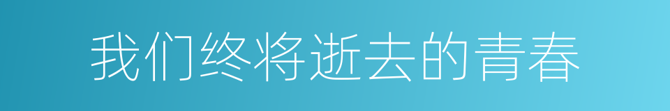 我们终将逝去的青春的同义词