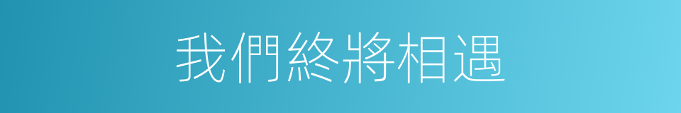 我們終將相遇的同義詞