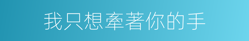我只想牽著你的手的同義詞
