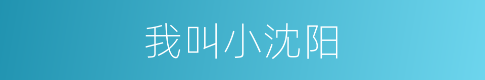 我叫小沈阳的同义词