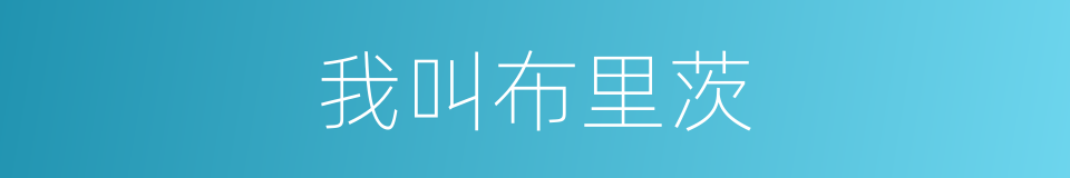 我叫布里茨的同义词