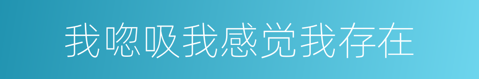 我唿吸我感觉我存在的同義詞
