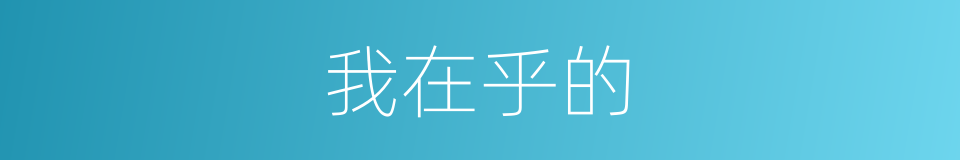 我在乎的的同义词