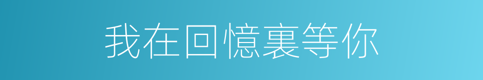 我在回憶裏等你的同義詞