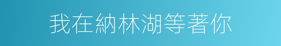 我在納林湖等著你的同義詞