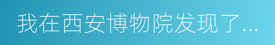 我在西安博物院发现了几处错误的同义词