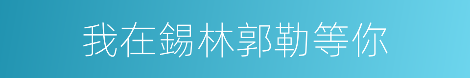 我在錫林郭勒等你的同義詞