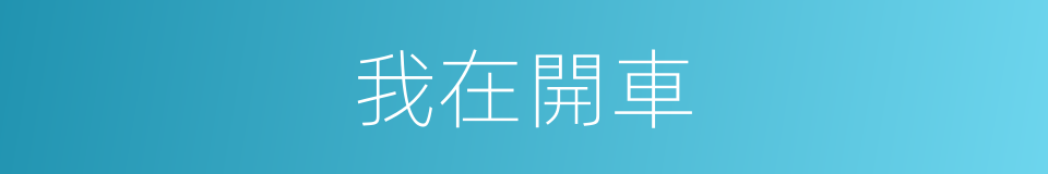 我在開車的同義詞