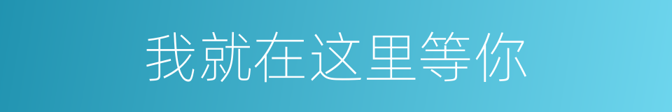 我就在这里等你的同义词