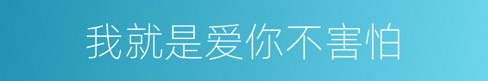 我就是爱你不害怕的同义词
