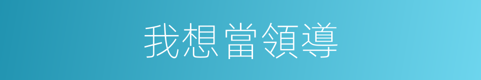 我想當領導的同義詞