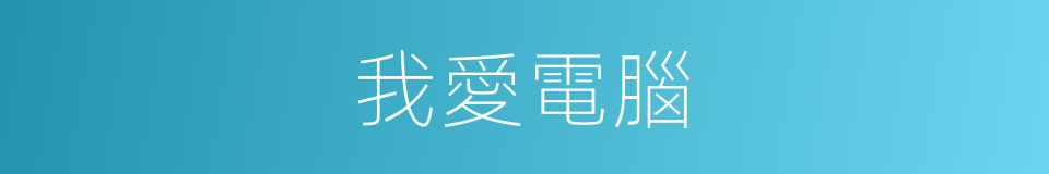 我愛電腦的同義詞