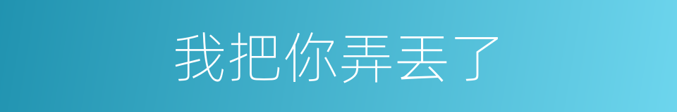 我把你弄丟了的同義詞