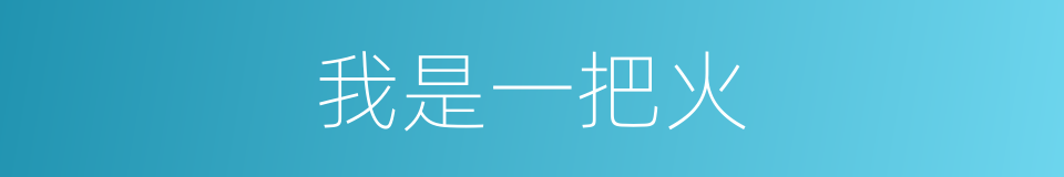 我是一把火的同义词
