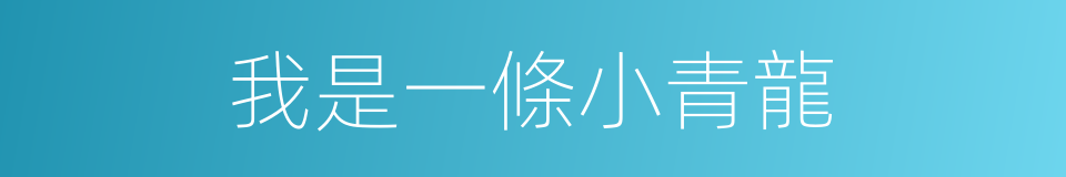 我是一條小青龍的同義詞
