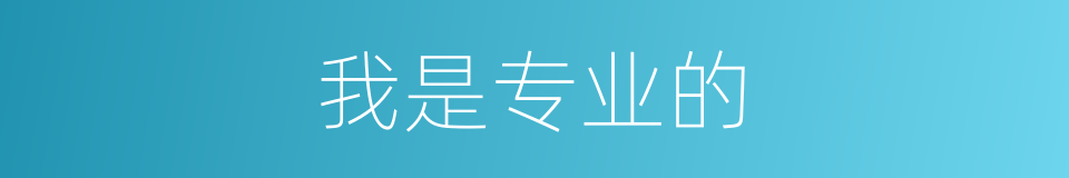 我是专业的的同义词