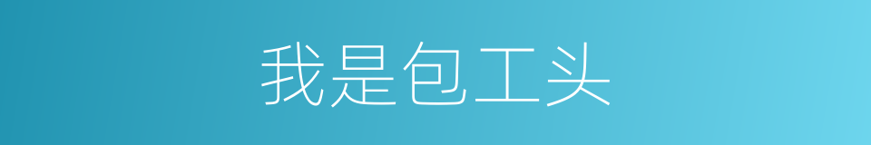 我是包工头的同义词