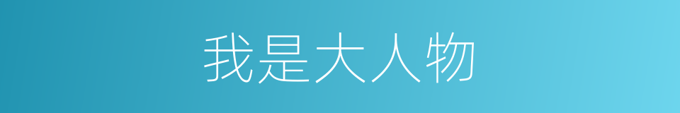 我是大人物的同义词