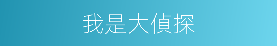 我是大偵探的同義詞