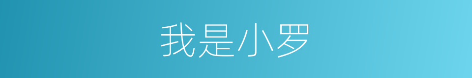 我是小罗的同义词