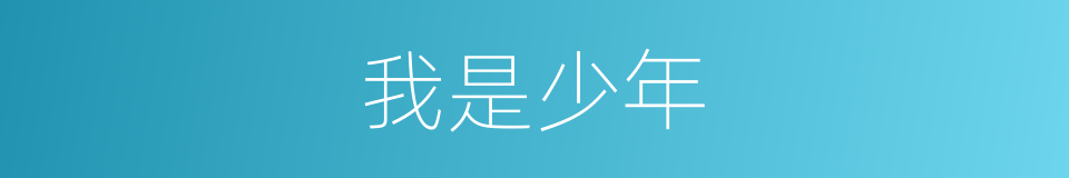 我是少年的同义词