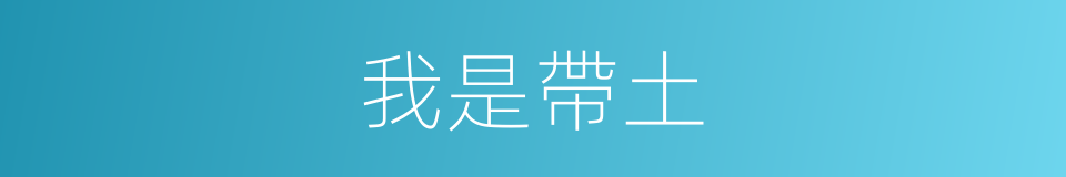 我是帶土的同義詞