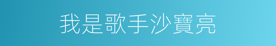 我是歌手沙寶亮的同義詞