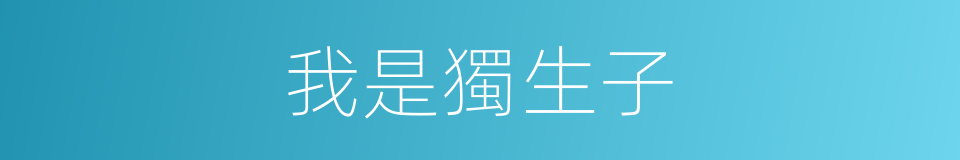 我是獨生子的同義詞