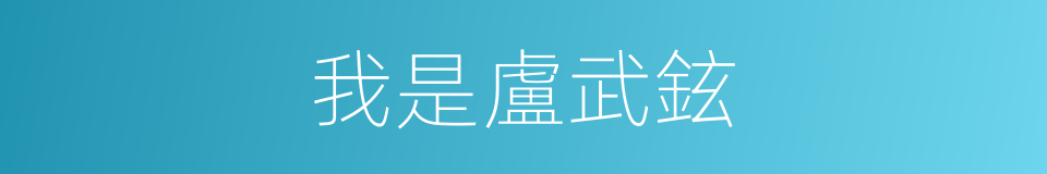 我是盧武鉉的同義詞