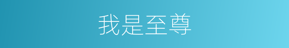我是至尊的同义词