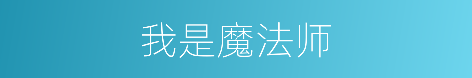 我是魔法师的同义词