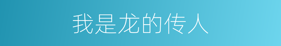 我是龙的传人的同义词