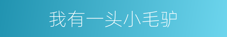 我有一头小毛驴的同义词