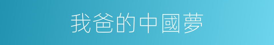 我爸的中國夢的同義詞