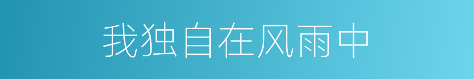 我独自在风雨中的同义词