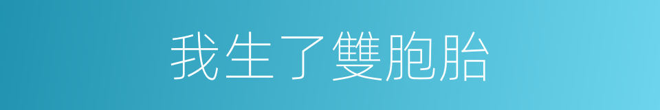 我生了雙胞胎的同義詞