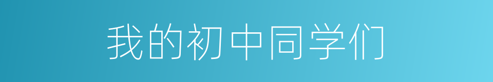 我的初中同学们的同义词
