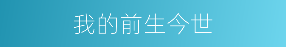 我的前生今世的同义词
