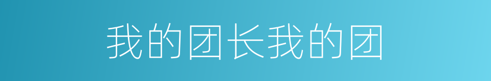我的团长我的团的同义词