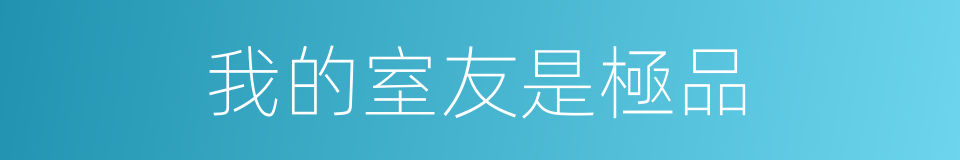 我的室友是極品的同義詞