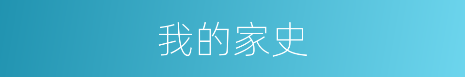 我的家史的同义词