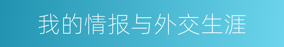 我的情报与外交生涯的同义词